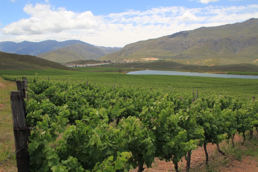 6 Bedroom Property for Sale in Ashton Western Cape